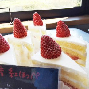 庄原産夏イチゴのショートケーキ